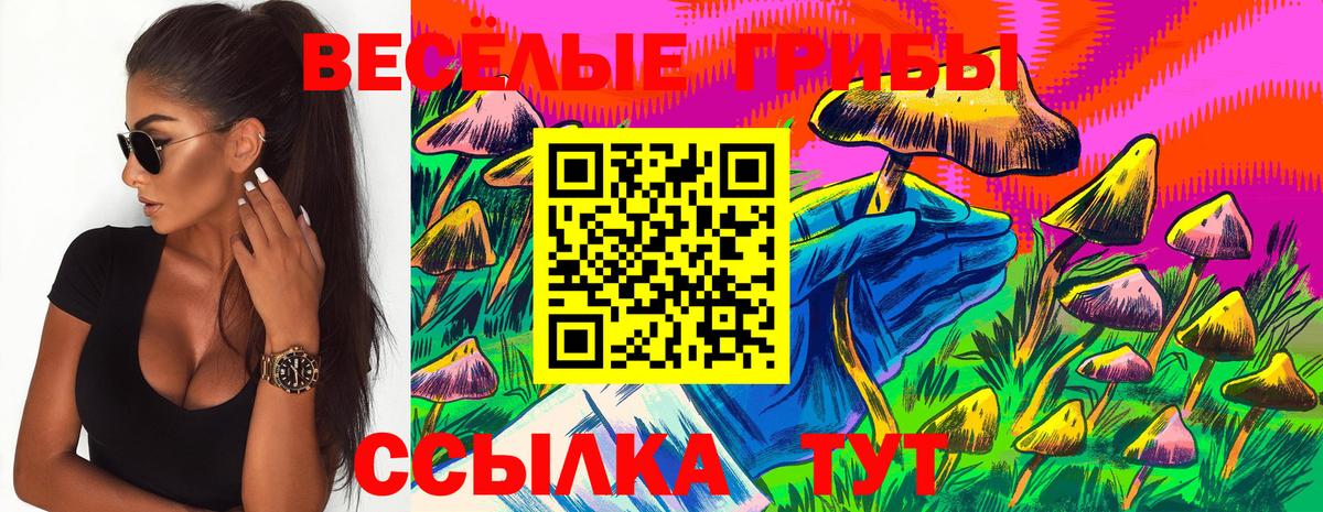 цена   Псилоцибиновые грибы GOLDEN TEACHER  Комсомольск-на-Амуре  Вход с VPN  Галлюциногенные грибы ЛСД 