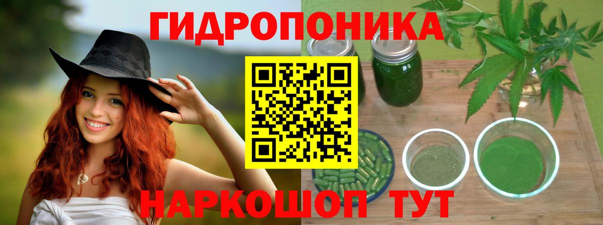Конопля сатива  Вход с VPN  Комсомольск-на-Амуре  МАРИХУАНА тримм 